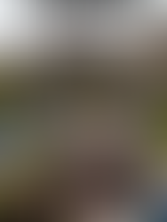 Why “Waiting for Spring” to Sell Your Chicago Home Can Backfire (A Love Letter to a Bad Idea)