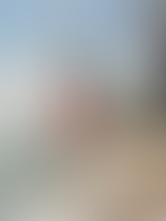 Here are some of the latest highlights from the Chicagoland real estate scene: