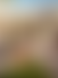 The Fastest-Growing Suburbs in Chicagoland Right Now — And Why Buyers, Sellers, and Investors Are Watching Them