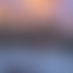 Top 10 Chicago Suburbs with the Biggest Home Value Increases in 2024 🏡