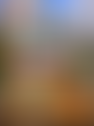 Top 10 Chicago Neighborhoods to Invest in Real Estate in 2026(Where Smart Investors Buy — and Where the Smart Money Is Already Quietly Moving)