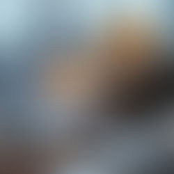 My Crystal Ball (aka My Take) on the 2025 Chicagoland Real Estate Market