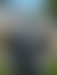 AI Home Buying: Finding Your Perfect Chicago Nest with a Dash of Tech and a Sprinkle of Humor