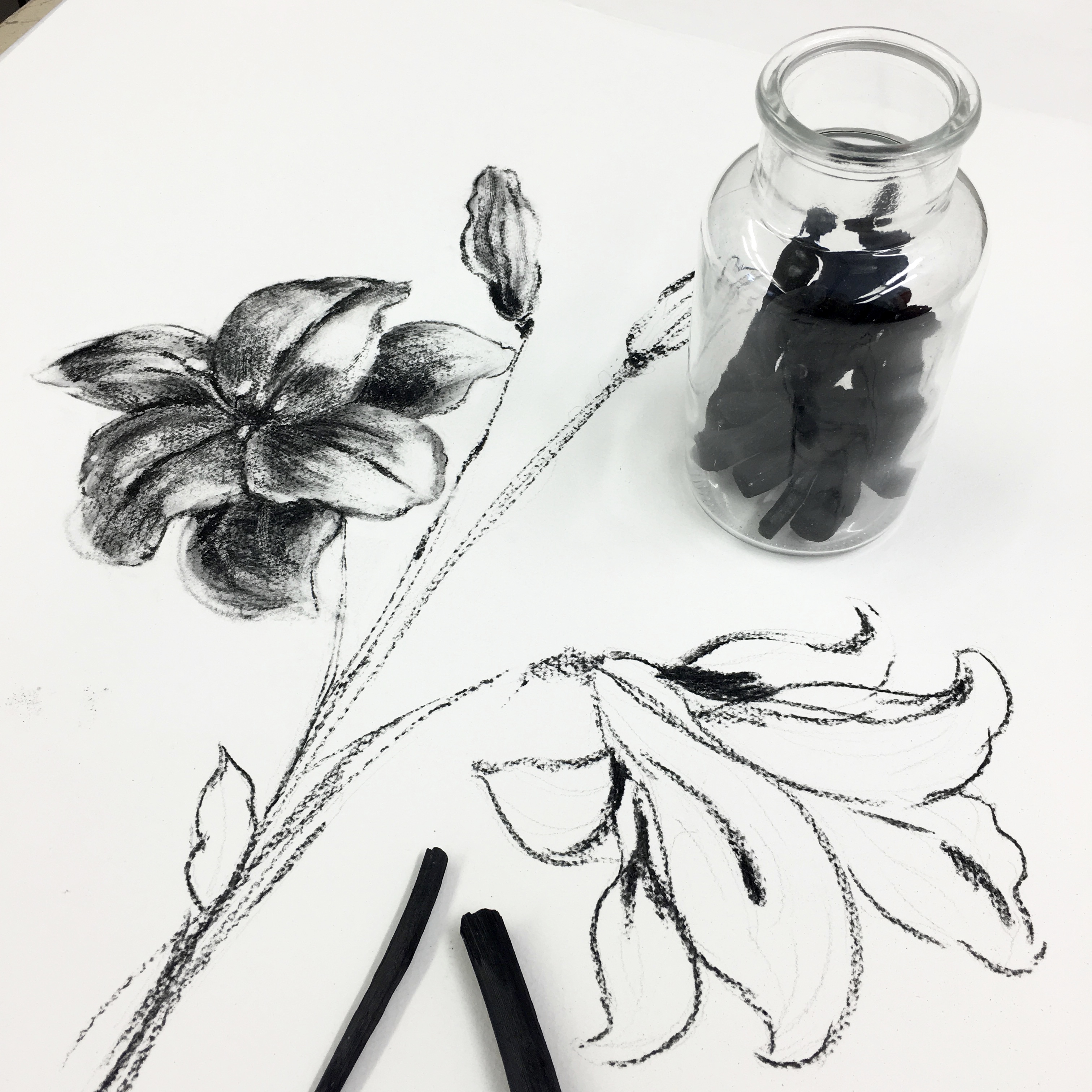 hand-made Australian bush vine charcoal v lewis 2016.jpg