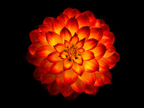 January Energy Forecast 2022 - Inspiration. Passion. Fire 
