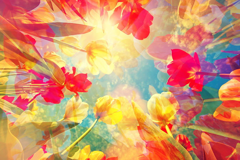 spring image 2.jpeg