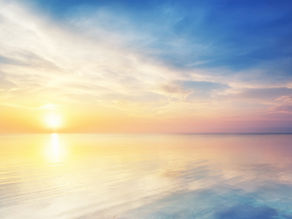 November Energy Forecast 2022 - Shapeshifting. Freedom. Choice.