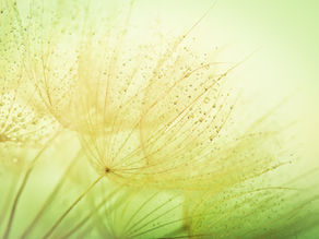 August Energy Forecast 2022 - Filling up on joy. Being brave enough to feel it all.