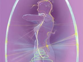 The Microcosmic Orbit