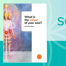 soul colour banner newest.png