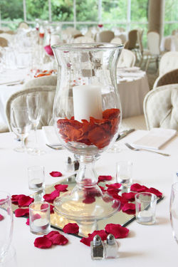 1200x1200_1433515980-be3ece9ae7991ee9-IMG_7310