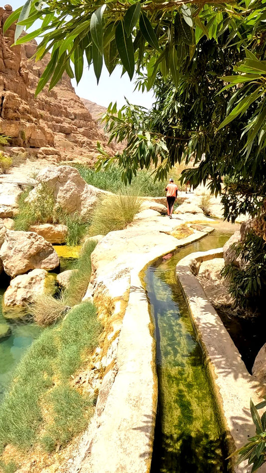 Traditional falaj channel beside a clear natural pool on the Wadi Shab hiking trail