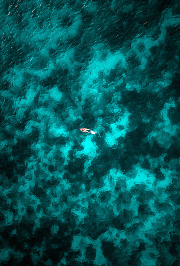 Coral reef beneath clear water during snorkeling at the Daymaniyat Islands in Oman