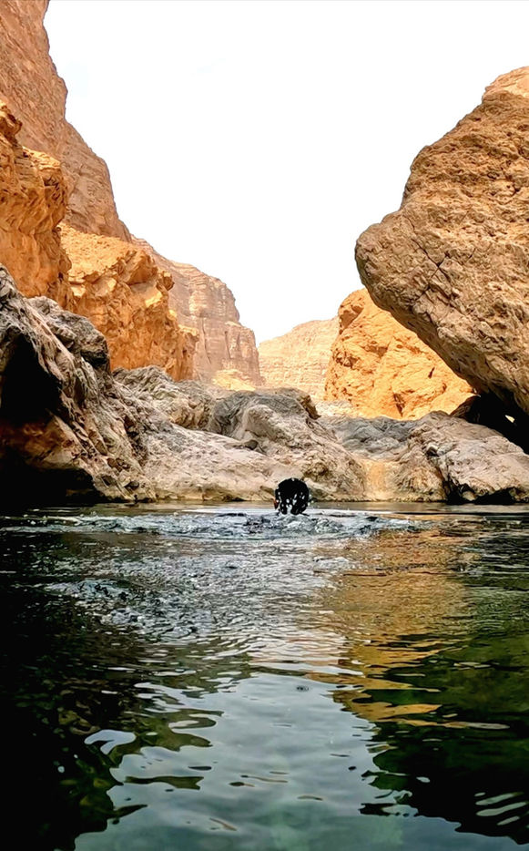 Adventure hiking in Wadi Arbyeen Oman with gorges, waterfalls, and natural pools during a 1-day trip.