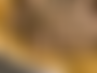 Trail Food Recipe:  Beef Stroganoff