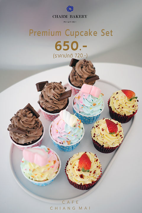 Premium cupcake set 3.jpg