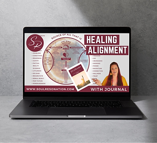 Computer mock ups (4).png