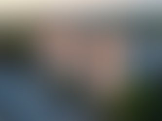 Essential Real Estate Investment Insights for Smart Investors