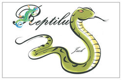carte-visite-recto-1665660929