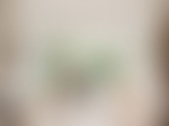 Home Wellness Spaces: Designing Calm Corners for Modern Living