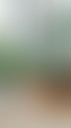 Biophilic Design & Nature Integration: Bringing the Outdoors In