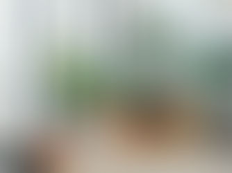 Biophilic Design & Nature Integration: Bringing the Outdoors In