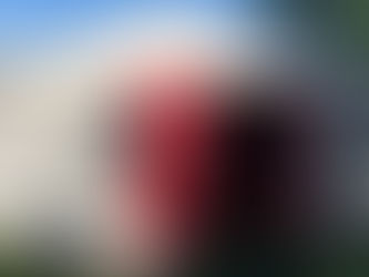 Réunissons-nous à la Réunion...