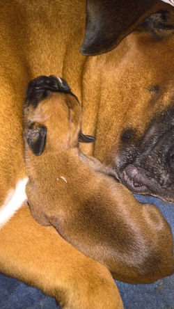 WP_20170427_23_26_12_Pro