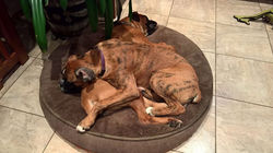 Luna really loves her momma Julie!