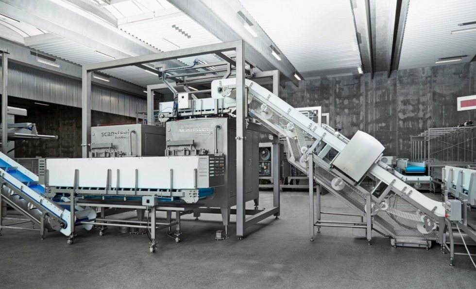 Pet Food Production Focus Trading