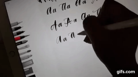 n5qMKE.gif
