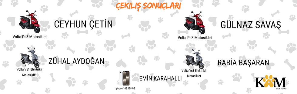 çekiiş site.png