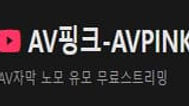 AV핑크 성인 사이트 모음 | 주소알