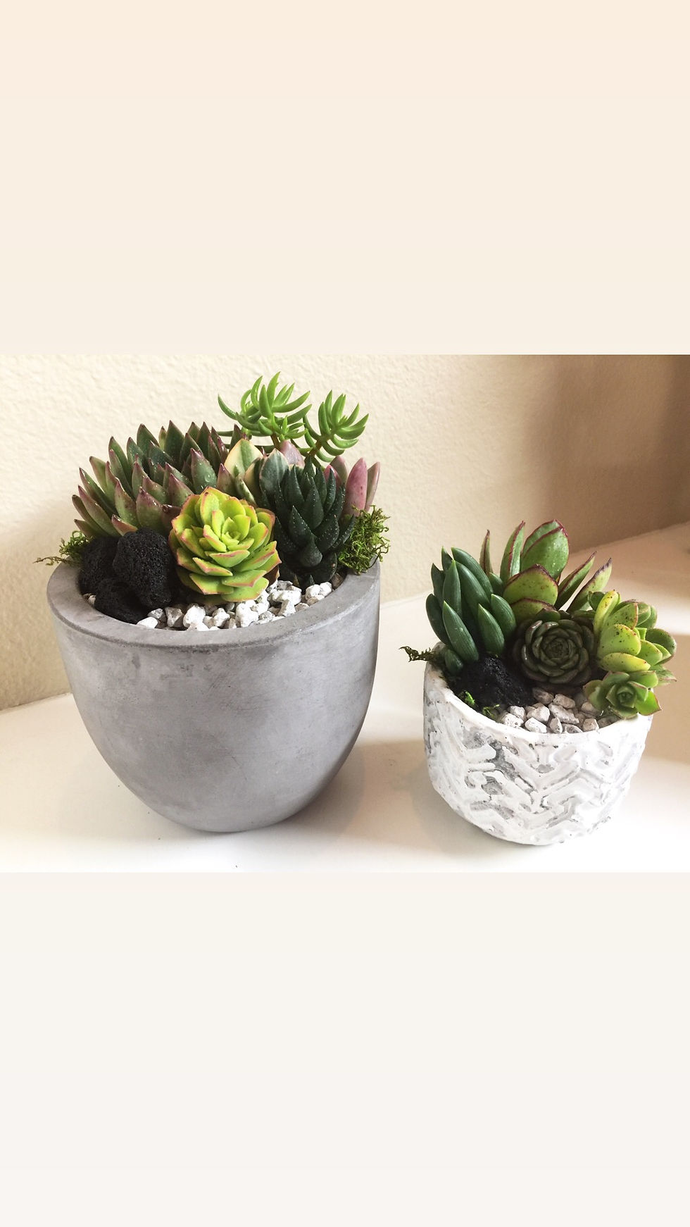 Summer Succulent Diffuser Workshop (July) SOLD OUT