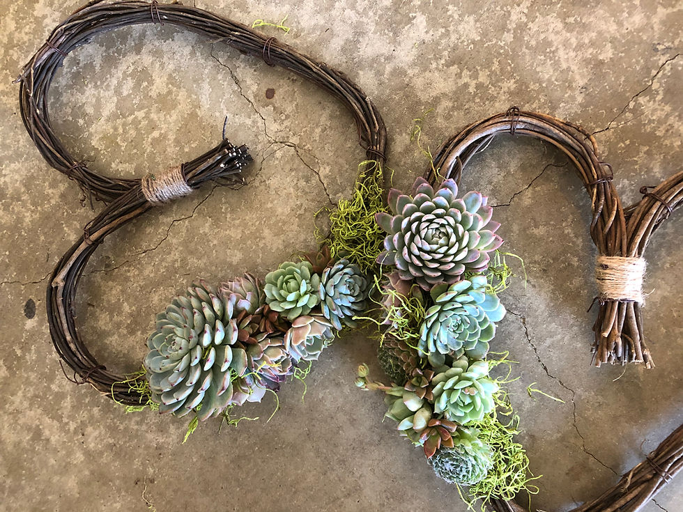 Thumbnail: succulent wreaths, valentines gifts, valentines flowers, oc flowers