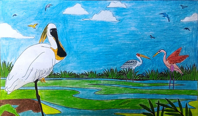 世界濕地日繪畫比賽及填色比賽- 冠亞季軍得獎者-香港文創薈-HKCCI-繪畫比賽-填色比賽-電繪比賽-水墨畫比賽-攝影比賽-標語創作比賽-書法比賽