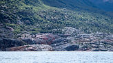 IMG_4299.jpg