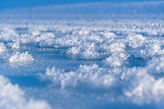 DSC00403.jpg