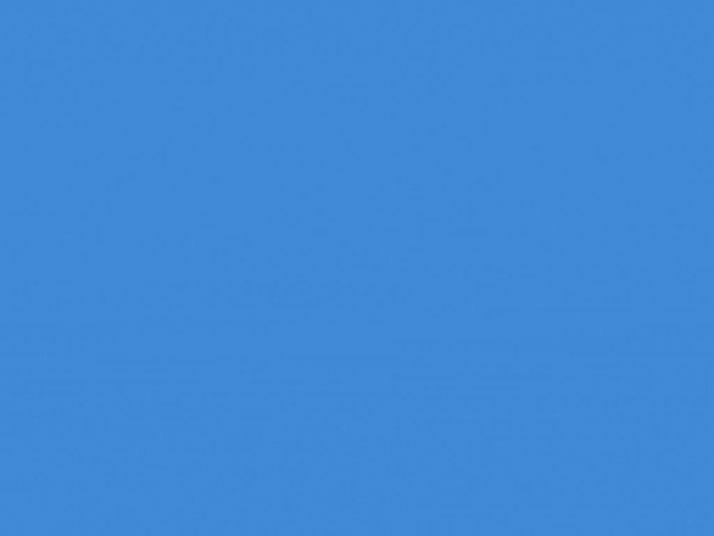 sanpietro 19.gif