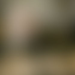 Michelle's Chinese/Indian Wedding at the Fairmont Washington DC