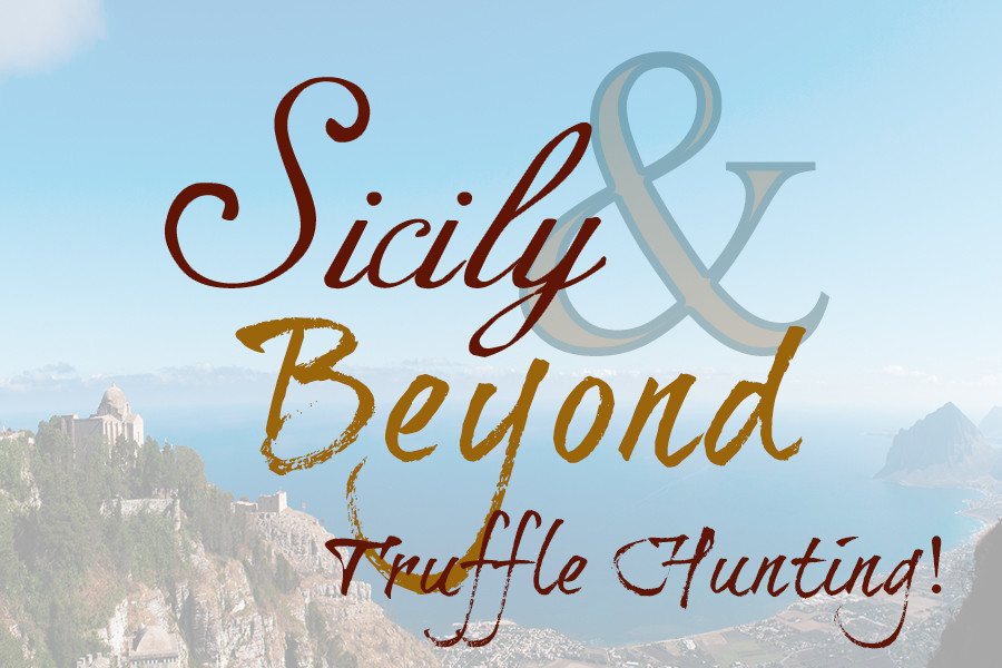 Sicily and Beyond Italian Truffle Hunting