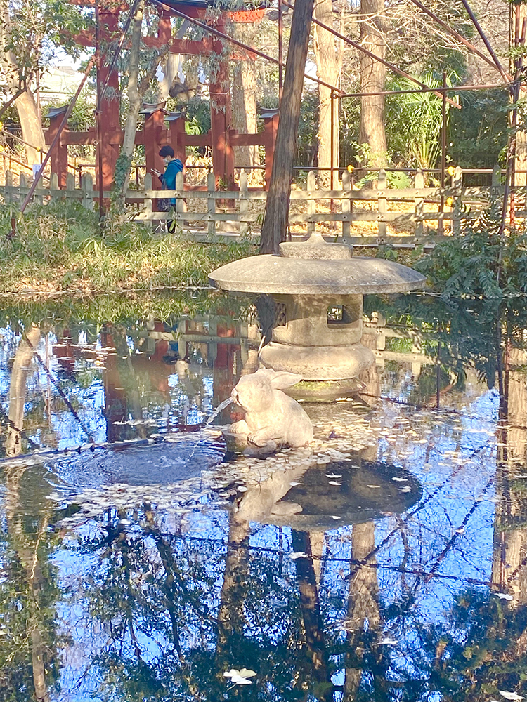 調神社の兎