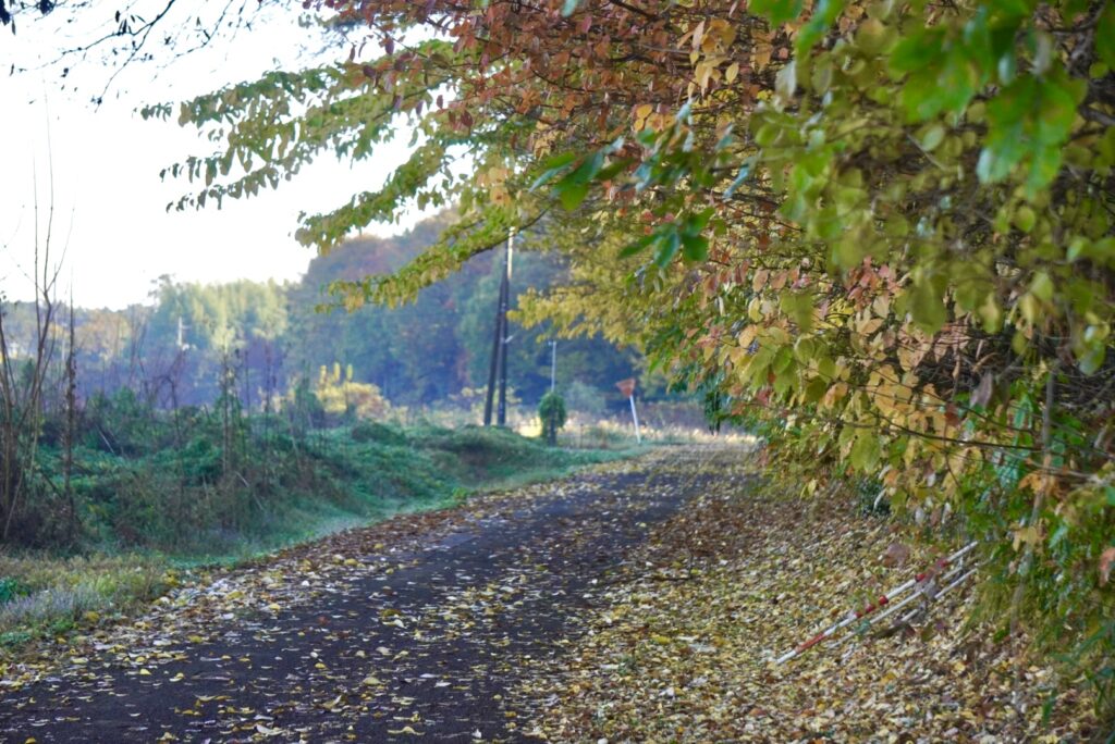 グリーンロード