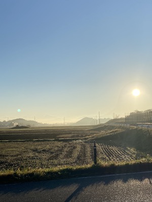 須賀川市の田んぼの景色