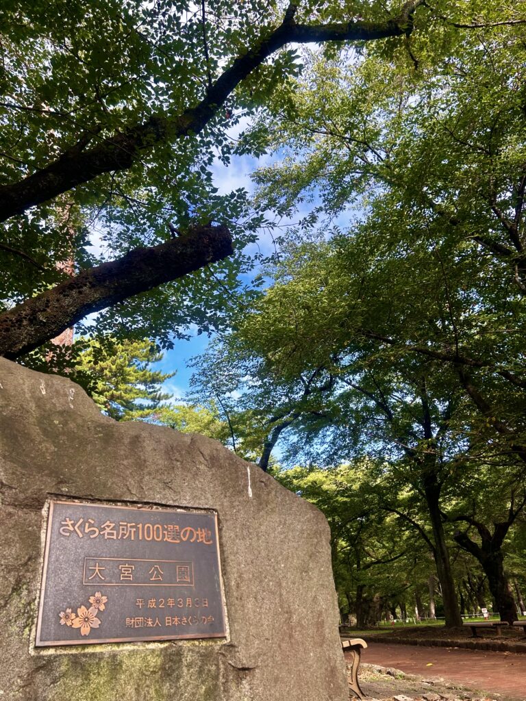 大宮公園さくら名所100選の地