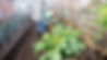Squash%20Tunnel_edited.jpg