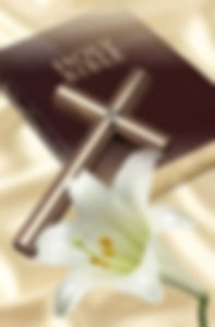Bible Study every Wednesday