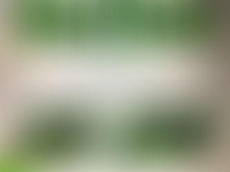 Race numbers & logos