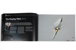 Typhoon Display Brochure