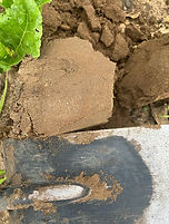 Poor soil structure in farmed field
